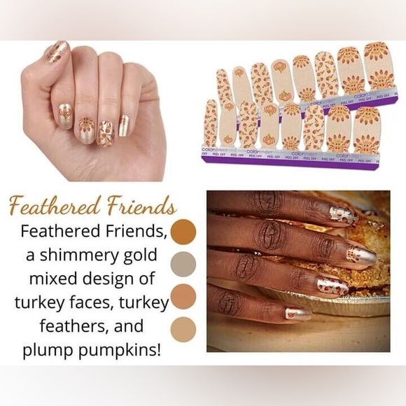 Color Street Real Nail Polish Strips - Feathered Friends (Thanksgiving) - Picture 1 of 3